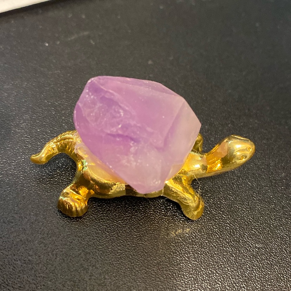 Small amethyst turtle friend